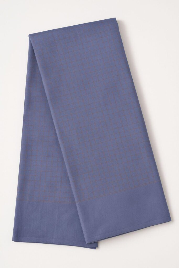 Soft Silk Saree with Zari and Blouse