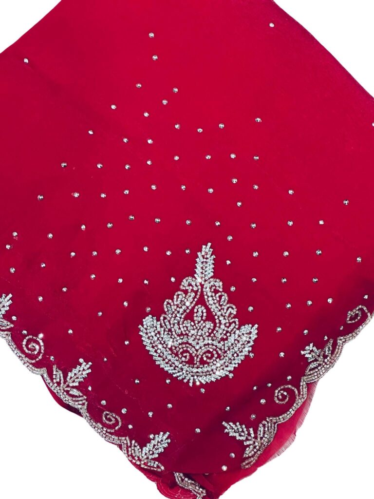 Designer Saree with Heavy Jarkan Embroidery and Handwork Border