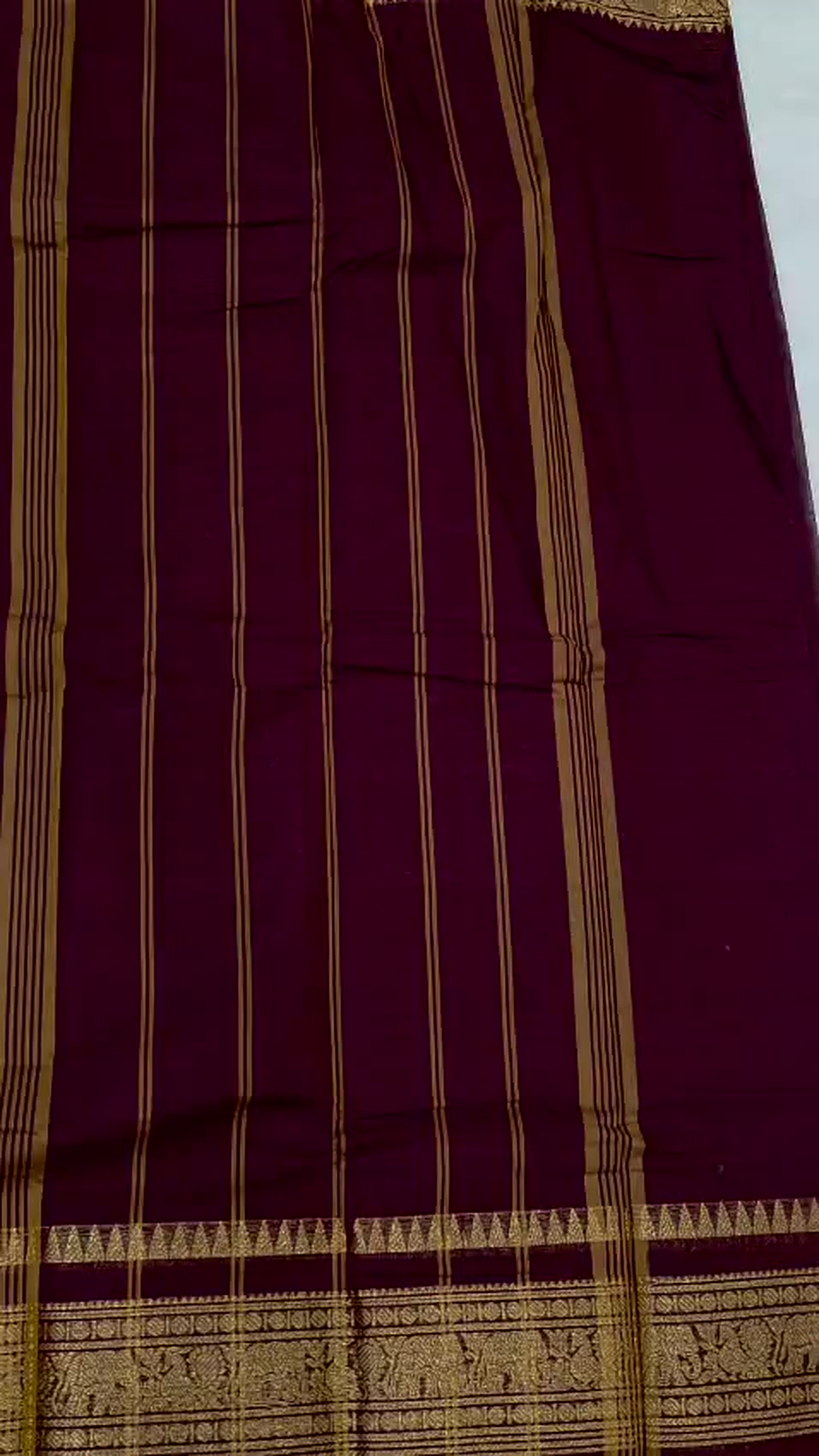 Kanchi Cotton Saree 120 Thread Count Gold Zari Border 5 Color Options - Image 9