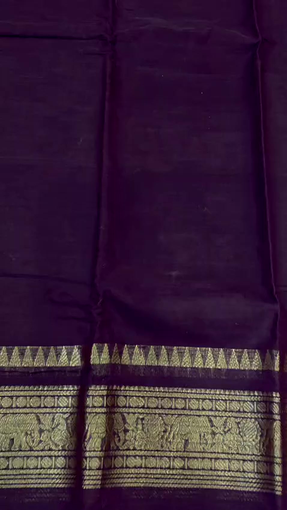 Kanchi Cotton Saree 120 Thread Count Gold Zari Border 5 Color Options - Image 12